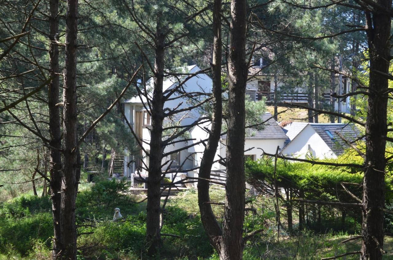 La Villa Dans Les Pins Quend Eksteriør billede