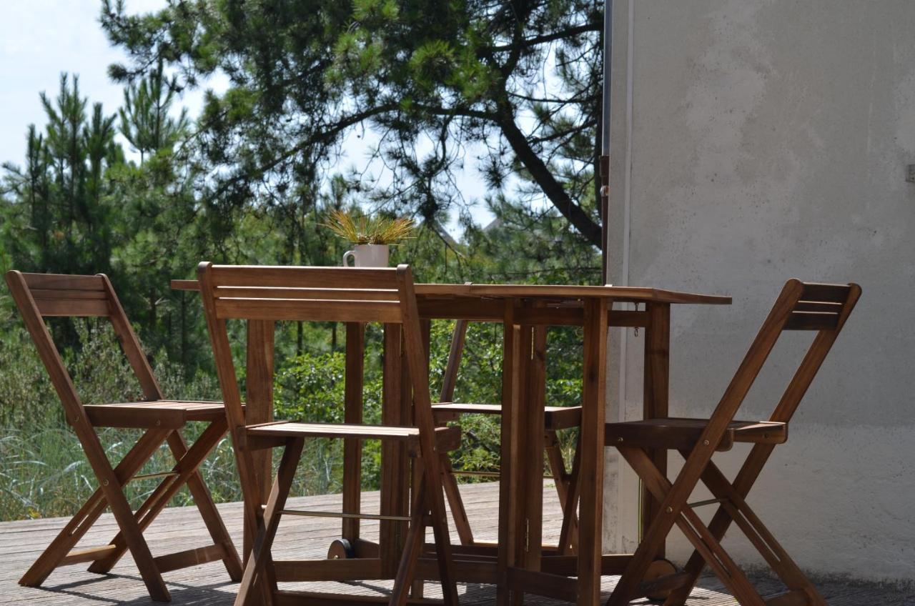 La Villa Dans Les Pins Quend Eksteriør billede