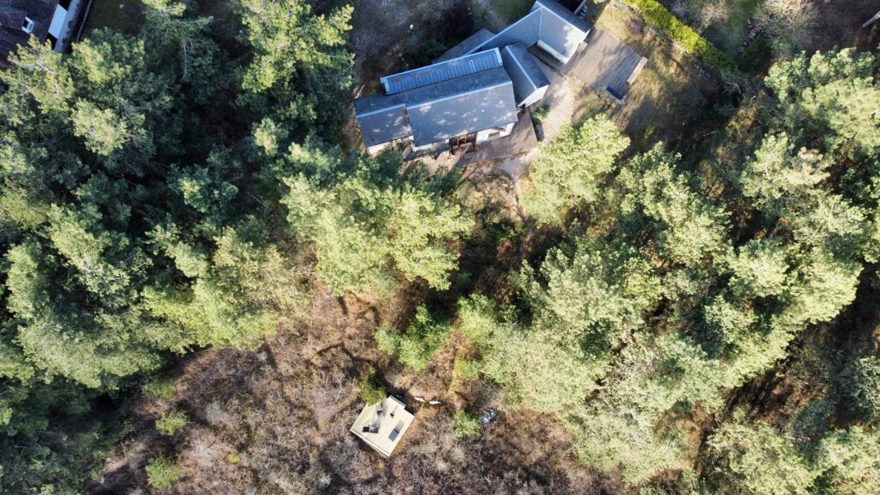 La Villa Dans Les Pins Quend Eksteriør billede