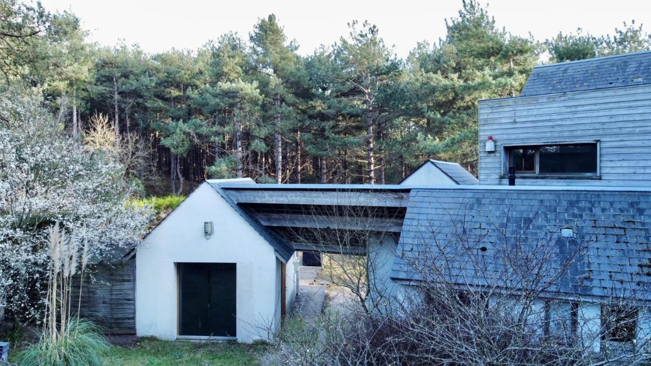 La Villa Dans Les Pins Quend Eksteriør billede