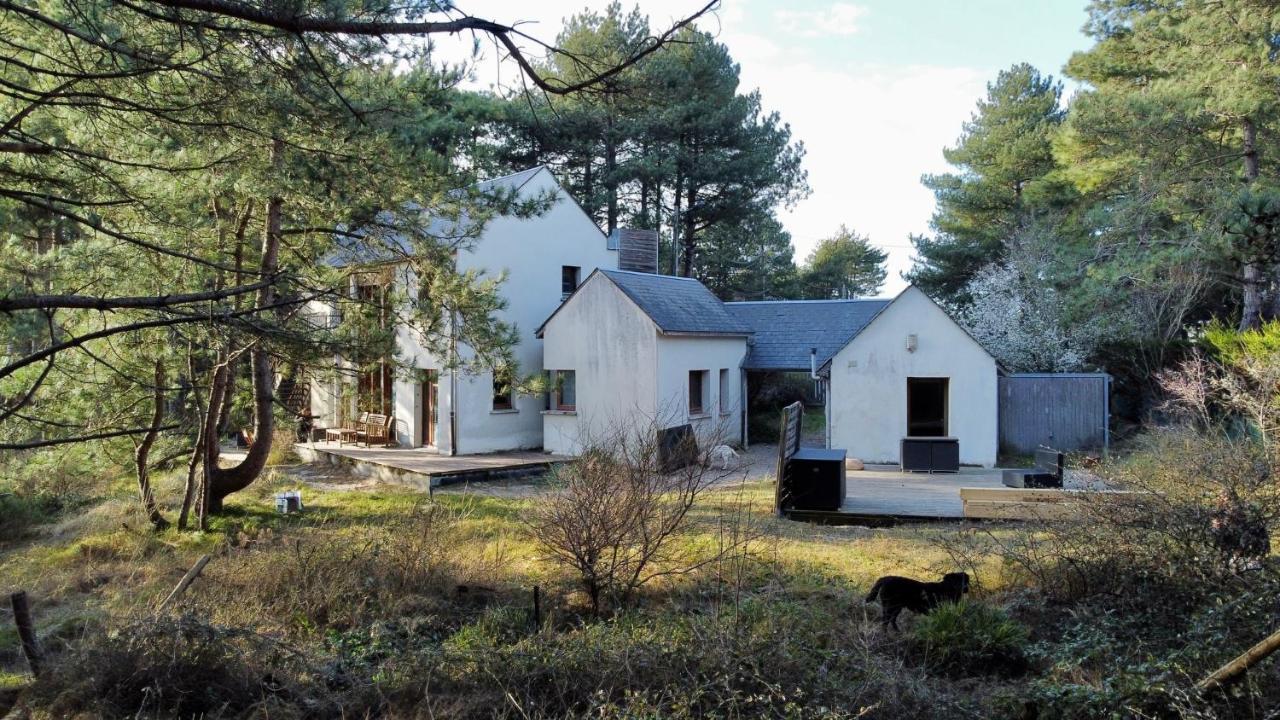La Villa Dans Les Pins Quend Eksteriør billede